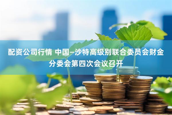 配资公司行情 中国—沙特高级别联合委员会财金分委会第四次会议召开
