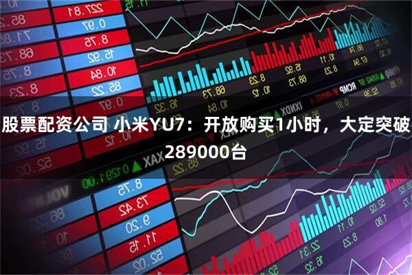 股票配资公司 小米YU7：开放购买1小时，大定突破289000台